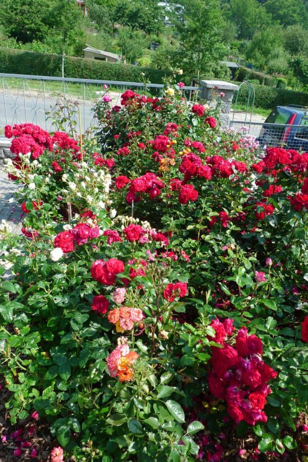 Летний дом Rosenhof In